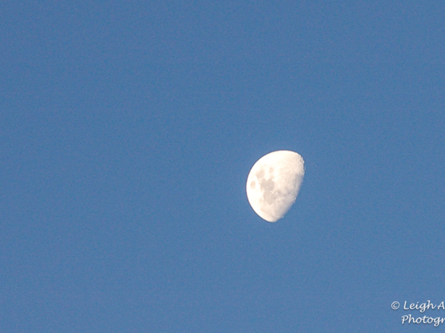 2007-05-26 16.51.31.jpg