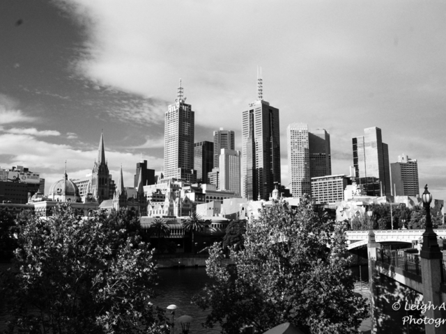2008-12-29 17.37.37.jpg